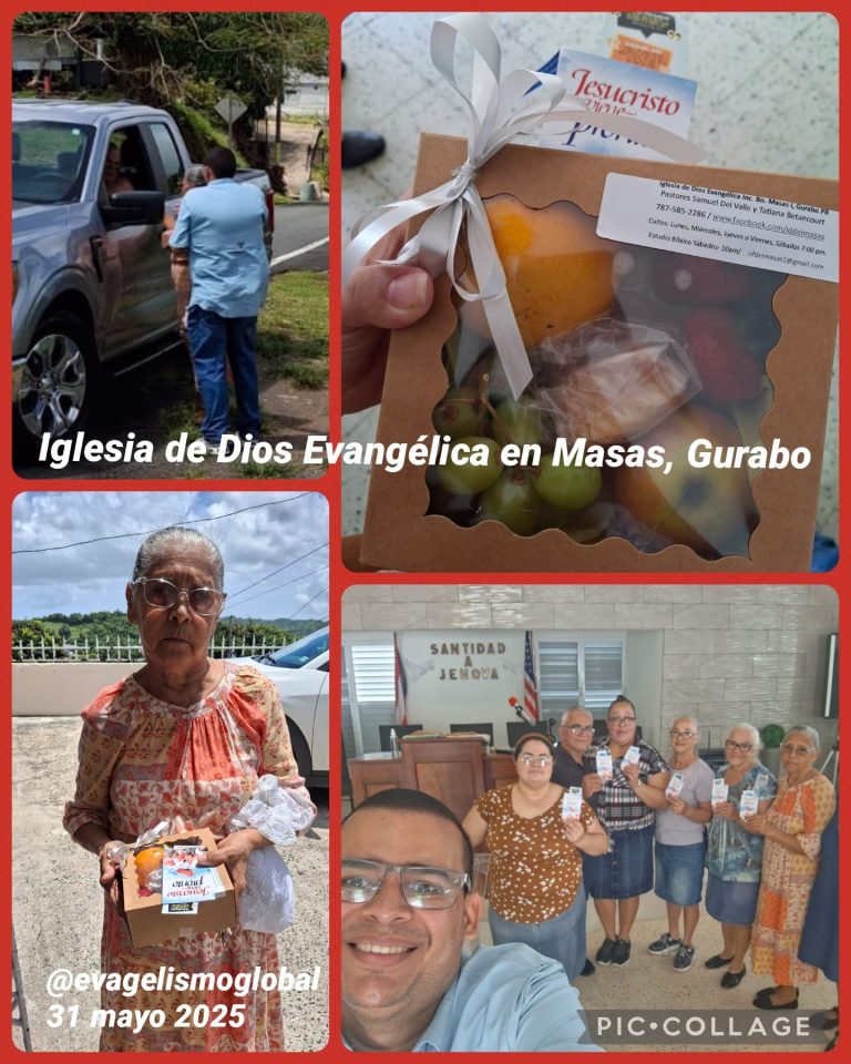 IDDEI , Misiones  Zona #1 Puerto Rico